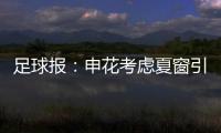 足球报：申花考虑夏窗引进外援前锋，米内罗已基本赛季报销