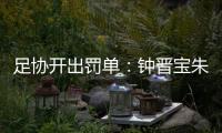 足协开出罚单：钟晋宝朱挺分别停赛5场3场