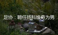 足协：聘任扬科维奇为男足国家队主教练