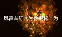 风雷益红木为你揭秘：为何红木家具这么贵?