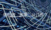领航鲸“搬家”分几步
？为啥要抹凡士林？