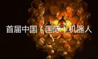 首届中国（国际）机器人辩论大赛启幕
，团队报名通道开放