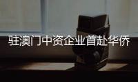 快排公司十年历程，霸屏兔 seo 的崛起与坚守