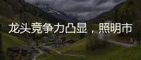龙头竞争力凸显
，照明市场竞争格局高度分散
，流量竞争日趋激烈
