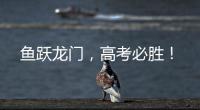 鱼跃龙门，高考必胜！