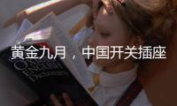 黄金九月
，中国开关插座品牌以“质”取胜
