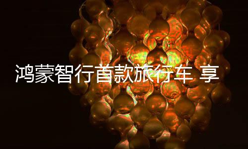 鸿蒙储物能力媲美中大型SUV