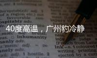 40度高温，广州豹冷静布局