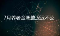 7月养老金调整迟迟不公布，人社部却悄悄更新一条动态，意味着啥