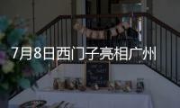 7月8日西门子亮相广州建博会	，新品开关插座引领智能家居新风尚