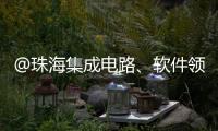 @珠海集成电路、软件领域相关企业，这份AI技术供应表请填报