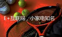 E+互联网
，小家电知名品牌双管齐下