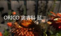 快排公司十年历程，霸屏兔 seo 的崛起与坚守