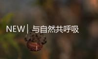 NEW ▏与自然共呼吸	，与家人贴近自然澄净之美