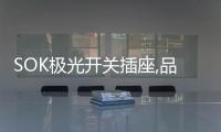 SOK极光开关插座,品牌精品，质量上乘