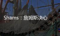 快排公司十年历程，霸屏兔 seo 的崛起与坚守