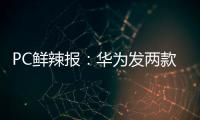 PC鲜辣报	：华为发两款鸿蒙电脑 AMD RX 9060 XT发布