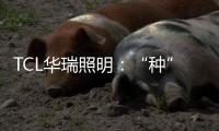 TCL华瑞照明：“种”一片翠绿，让生活和工作更添生机