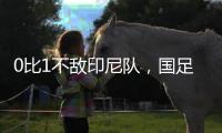 0比1不敌印尼队	，国足正式无缘美加墨世界杯