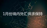 1月份境内外汇供求保持基本平衡