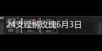 24支铿锵玫瑰6月3日珠海开战
！老将新秀齐上阵