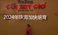 2024年珠海加快培育新质生产力
，高技术制造业增加值同比增长15％