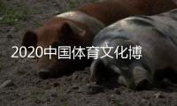 2020中国体育文化博览会 旅游博览会线上开幕