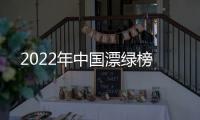 2022年中国漂绿榜