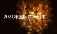 2021年国际森林日来了！7组数据看森林对我们多重要