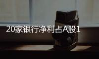 20家银行净利占A股1/3强，“利润王”对抗息差压力分化加剧