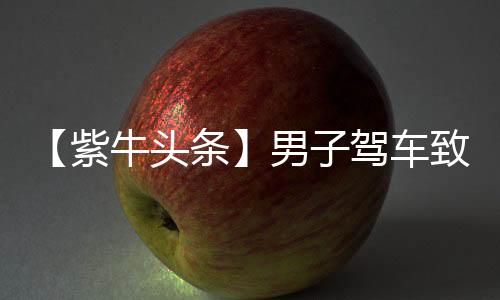 紫牛照料但都没有得到回应