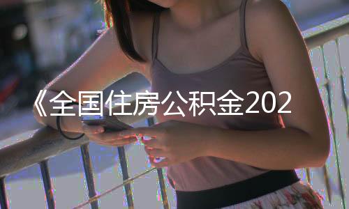 公积广东公积2024年末