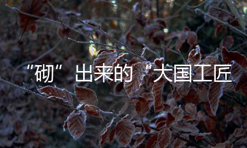 大国还是工匠故事穿着劳保鞋