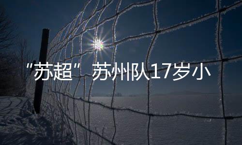 苏州上苏对于大多数人而言