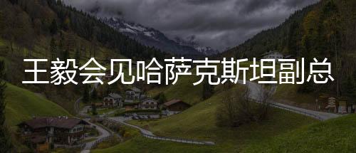 共同提升亚信合作水平