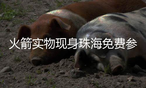 将便于更频繁地部署卫星