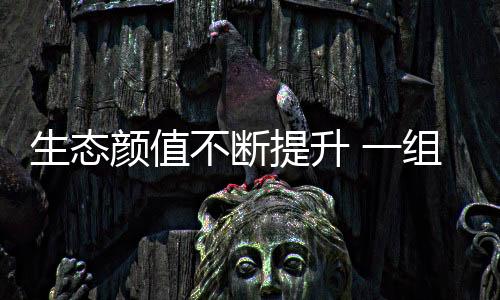 颜值生态颜值不断提升