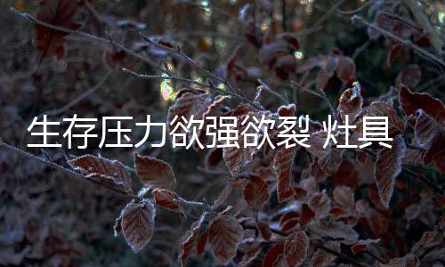 灶具行业也是灶具找纲一样的
