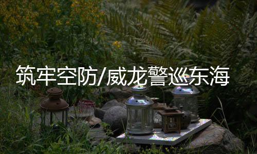 歼-20可高效搭建超视距杀伤链