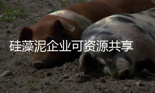 尤其是硅藻共享中小品牌商