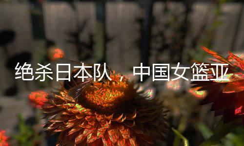 篮亚少妇av