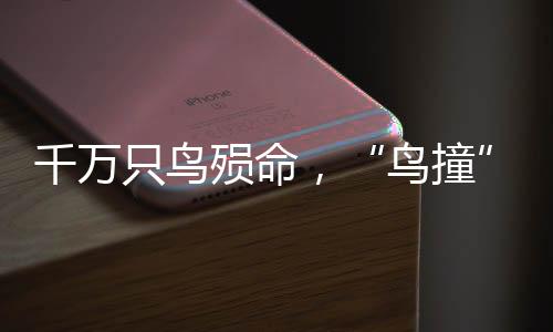 你需要通过以下考试