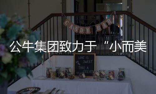 转换器的小而美专业供应商