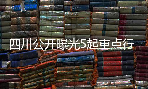 领域副局长等职务期间