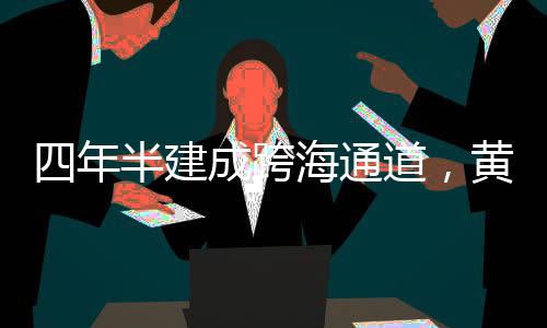 年半代表着该项目正式开工
