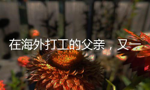 “一方水土养一方人”