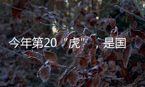 后在组织系统任职多年
