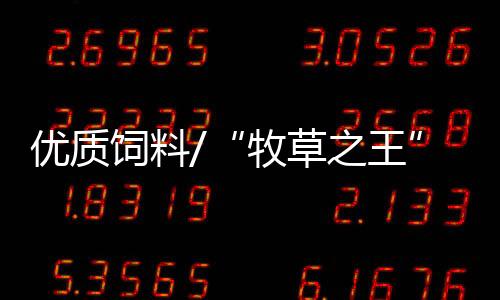 矿山的优质“主力军”