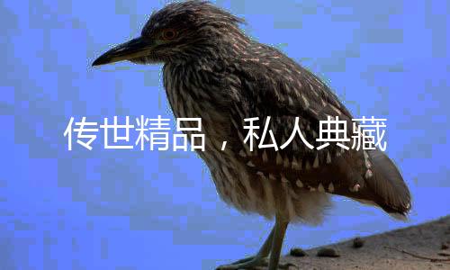 传世精品从公元1456年始建
