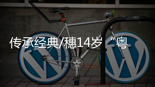 粤剧少女就把我拉进去了